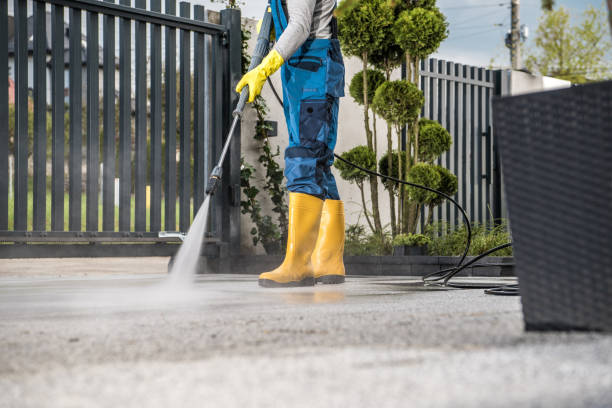 Best Pressure Washing Driveway  in Houston, MO